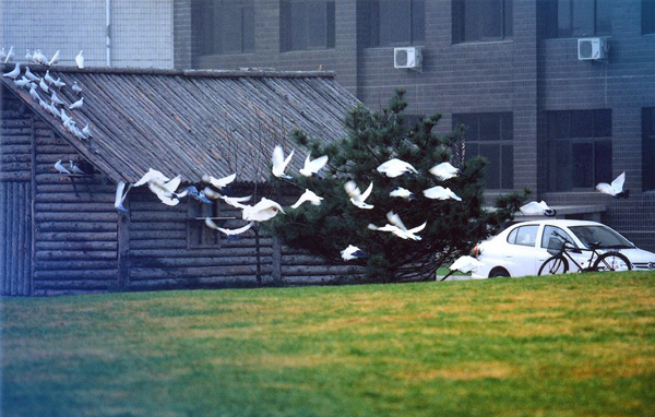 對外經(jīng)濟貿易大學MBA2018年首場招生宣講會通知