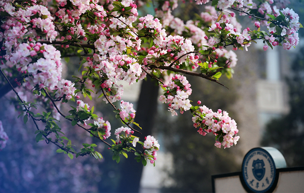 天津大學(xué)2018年MBA提前批面試