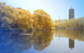 2018年北京大學(xué)光華管理學(xué)院全國(guó)公開(kāi)課——深圳站