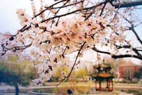 北京交通大學(xué)2019年MBA提前面試第三批申請中