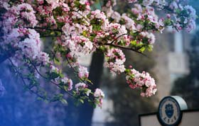 講座預(yù)告 | 創(chuàng)新還是滅亡？知識型員工團隊如何應(yīng)對技術(shù)的動蕩？