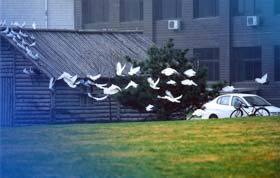 講座預(yù)告 l 國(guó)學(xué)智慧與“9+1”理論 ——基于中國(guó)企業(yè)的經(jīng)營(yíng)管理模式實(shí)踐