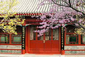 【講座報(bào)名】陳春花教授：協(xié)同——數(shù)字化時(shí)代組織效率的本質(zhì)