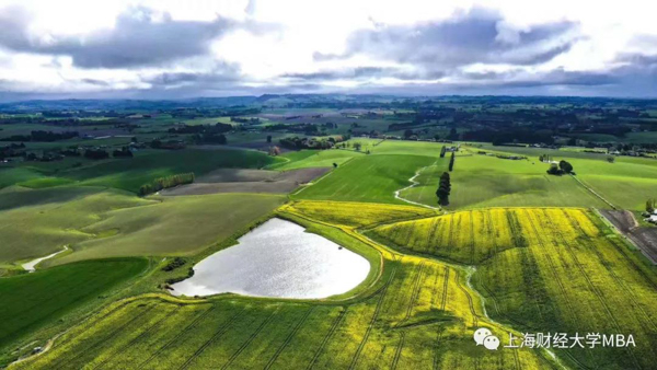 2021年入學(xué)上財(cái)MBA招生宣講｜1.12