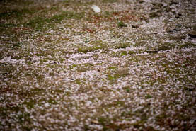 【直播預(yù)告|戰(zhàn)“疫”講座】2020年新冠肺炎疫情襲擊后的宏觀經(jīng)濟風(fēng)險分析和黃金市場走勢前瞻