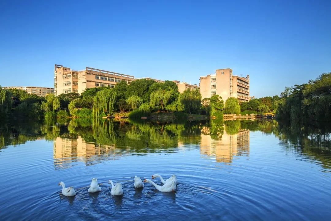 浙江財經(jīng)大學(xué)MBA教育十周年慶典 暨“負(fù)責(zé)任的管理”高峰論壇 邀請函