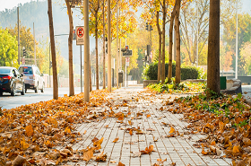  英國曼徹斯特大學(xué)全球在職MBA項目說明暨2021年7月班申請指南活動