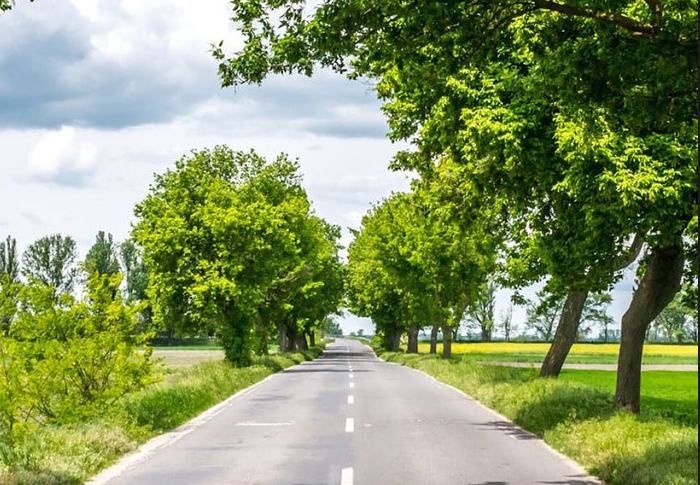 對比：長江商學(xué)院、中歐國際工商學(xué)院與“清北人”