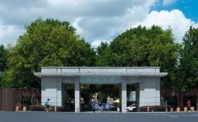 美麗校園——同濟(jì)大學(xué)篇