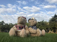 【8.31活動(dòng)序幕】朱晨超：三個(gè)月備考，全職媽媽拿下全獎(jiǎng)變“學(xué)霸”