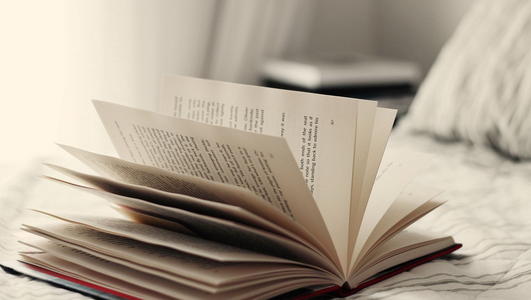 2019年全國碩士招生數(shù)據(jù)