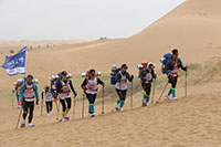 京獅馳騁沙八，再攜沙鷗歸來