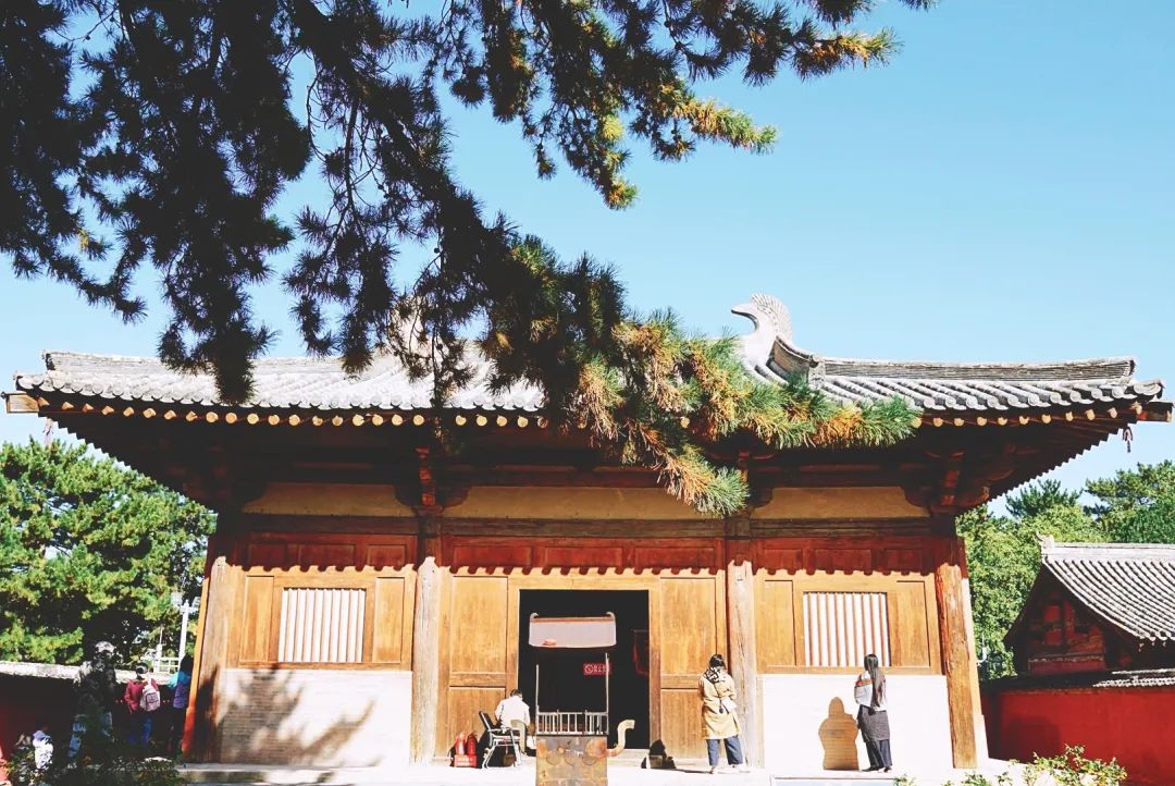  BIFudanMBA：MBAer極光劇場 | 去旅行吧，打開你的細胞壁，感受時空之美