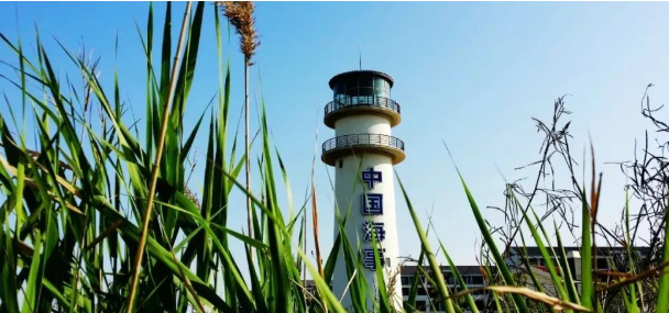 通知 | 上海海事大學(xué)經(jīng)濟(jì)管理學(xué)院教育培訓(xùn)中心非全日制MBA/MEM/項(xiàng)目管理/MPAcc專(zhuān)業(yè)學(xué)位新增指標(biāo)調(diào)劑系統(tǒng)開(kāi)放通知