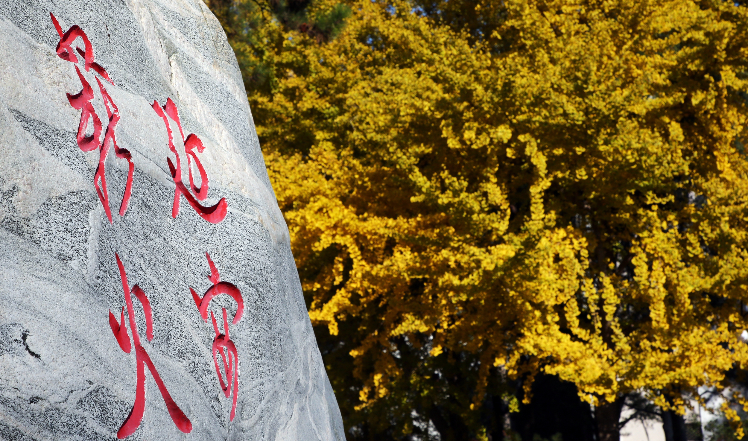 筑夢(mèng)北理 | 2023年北京理工大學(xué)MBA項(xiàng)目提前面試流程（更新）