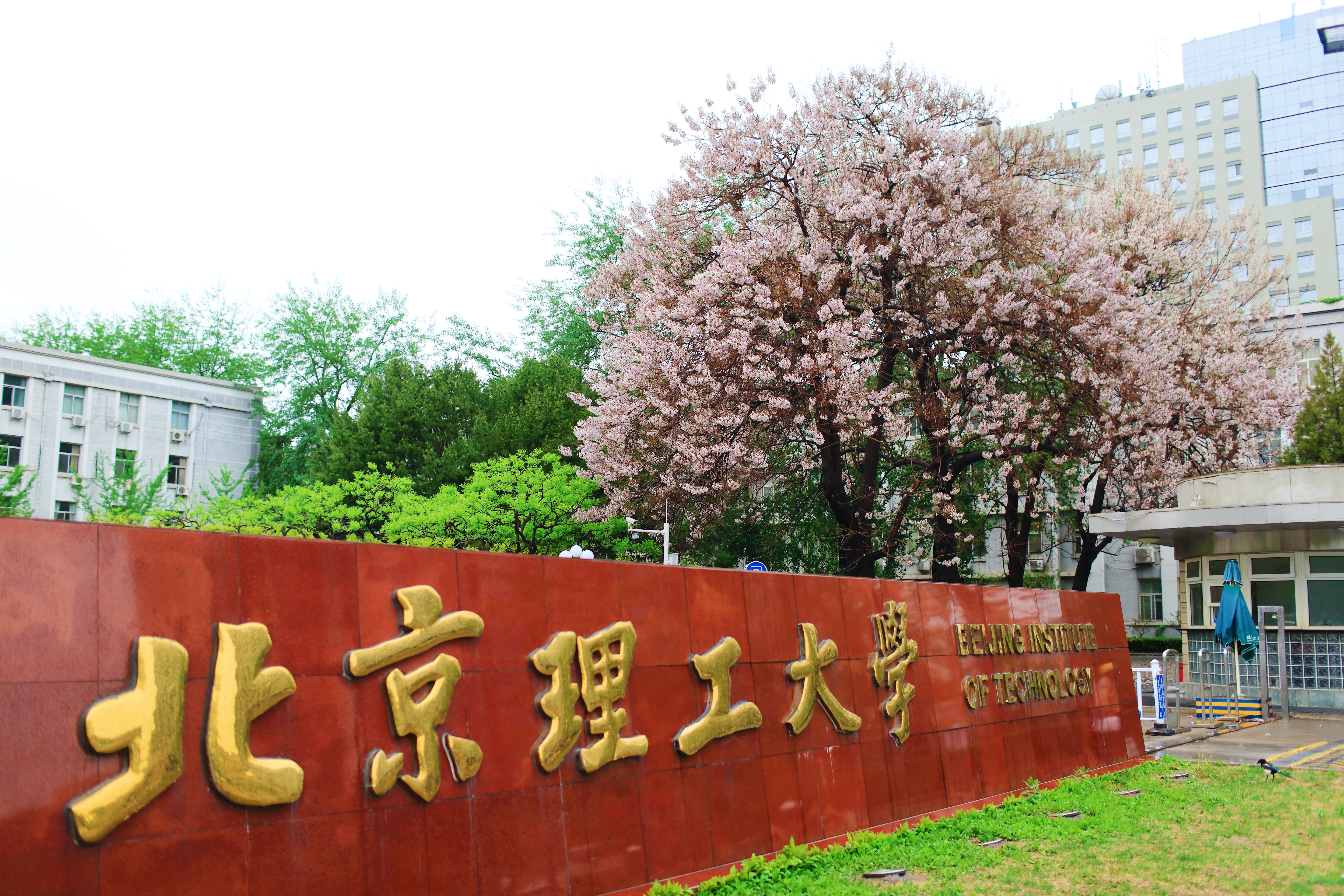 與“理” 相約 | 2023年北京理工大學(xué)EMBA項(xiàng)目提前面試流程（更新）