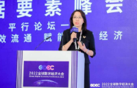 北京大學(xué)宋潔：需根據(jù)數(shù)據(jù)外部性等特征 從全生命周期視角確定數(shù)據(jù)資產(chǎn)評(píng)估方法