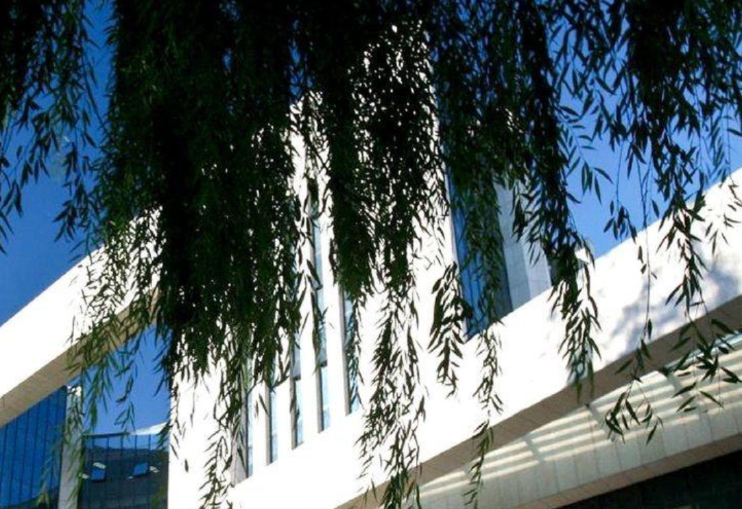 @調(diào)劑考生丨對外EMBA第二批次調(diào)劑已開通！