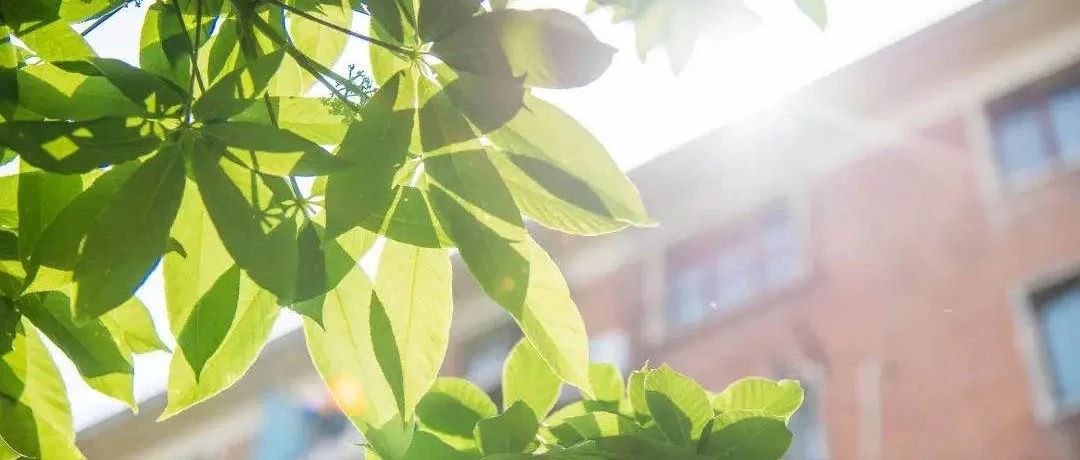 “求是?先鋒”體驗(yàn)營(yíng)｜2026年人大商學(xué)院MBA申請(qǐng)全面開啟