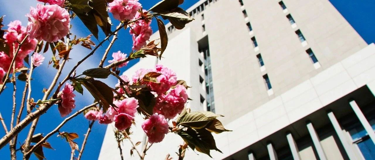 關(guān)于2026中國石油大學(xué)（北京）MBA“夢溪”夏令營的通知