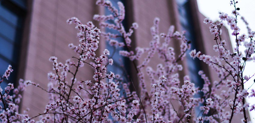 華北電力大學(xué)-MBA項(xiàng)目（非全日制）