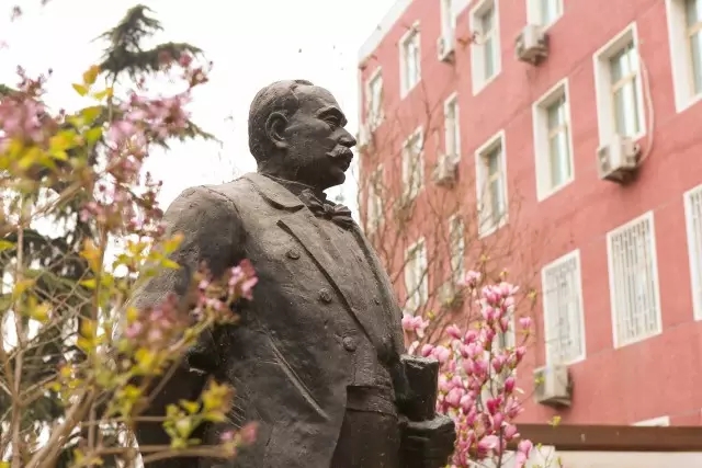 1498096155451881.jpg b7.webp.jpg