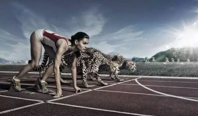 1499329376104814.jpg 2017.7.6shanghaigaojin—XL1.jpg