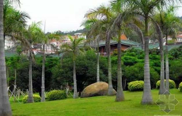 1507514709149957.png image.png