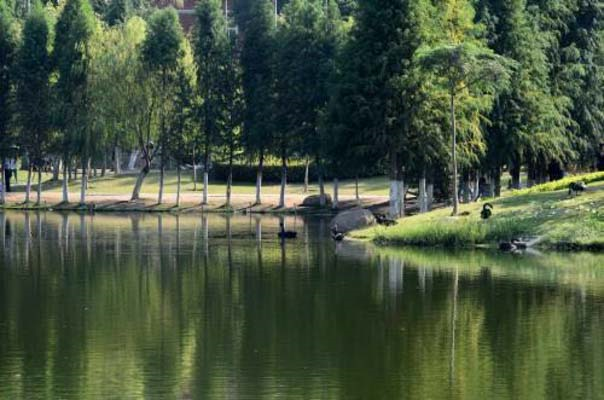 1507514719774463.png image.png