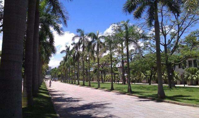 1507514771384401.png image.png