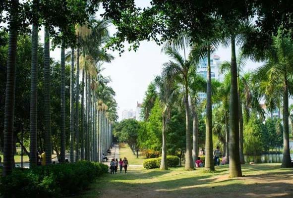 1507514863575604.png image.png