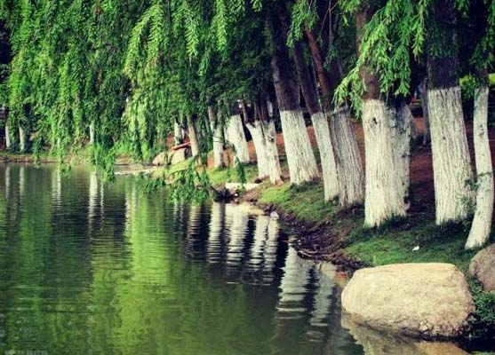 1507514908202381.png image.png