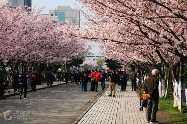 1507522098720942.png 1507522098720942.png