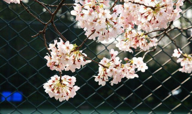 1507522105954119.png 1507522105954119.png