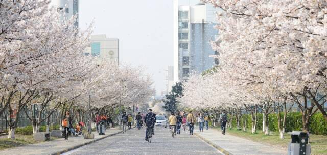 1507522124364140.png 1507522124364140.png