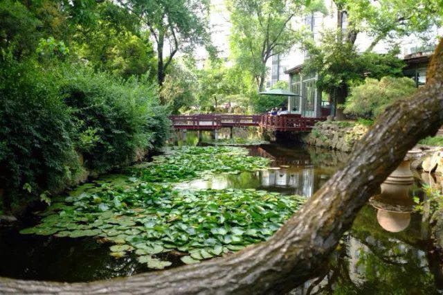 1507522204755854.png 1507522204755854.png