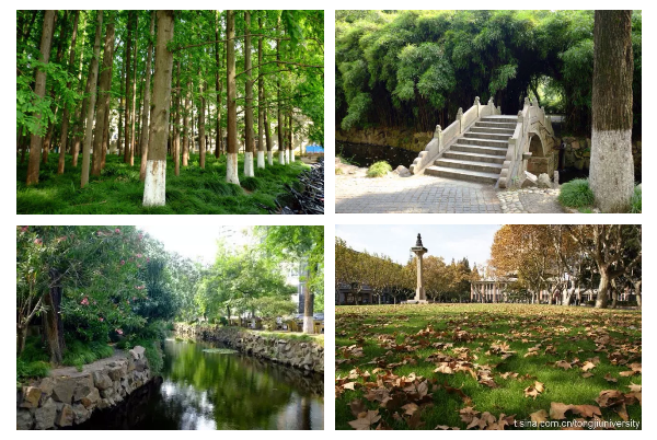 1507522212965315.png image.png