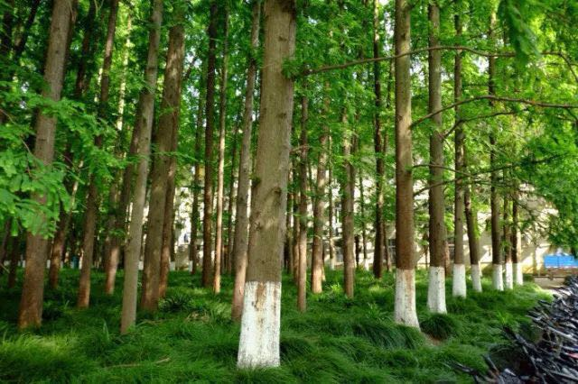 1507522221602821.png 1507522221602821.png