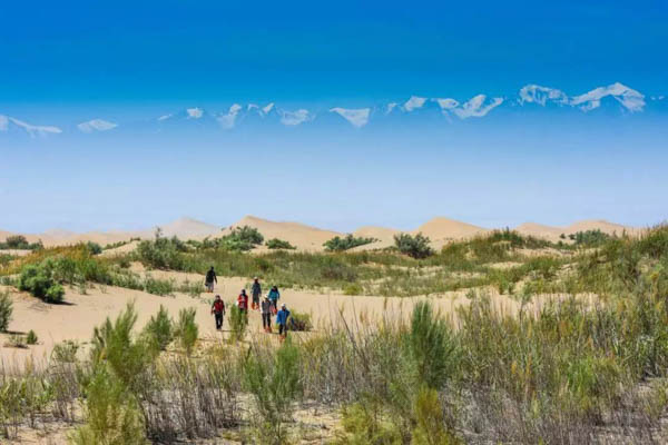 1553166924455347.jpg 賽-4.jpg