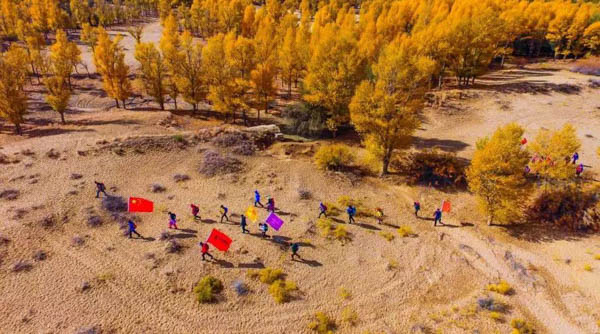 1553166941564803.jpg 賽-5.jpg