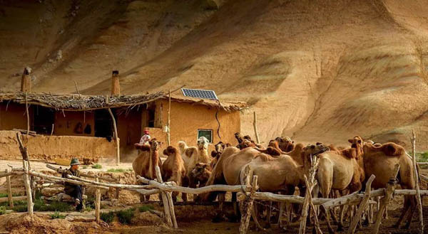 1553170312685000.jpg 賽-4.jpg