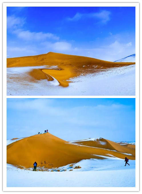 1553170435424047.jpg 賽-7.jpg