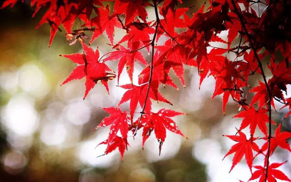 1568873176968621.jpg MBAedu-20190919140140.JPG