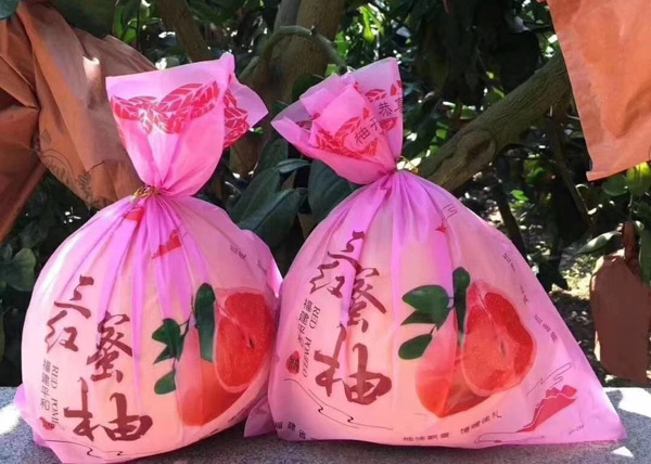 1572600183831439.jpg 7.jpg