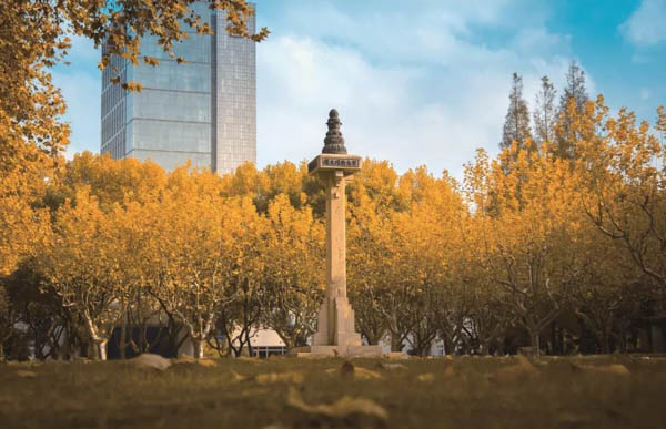 1572686574986013.jpg 微信圖片_20191102165058.jpg