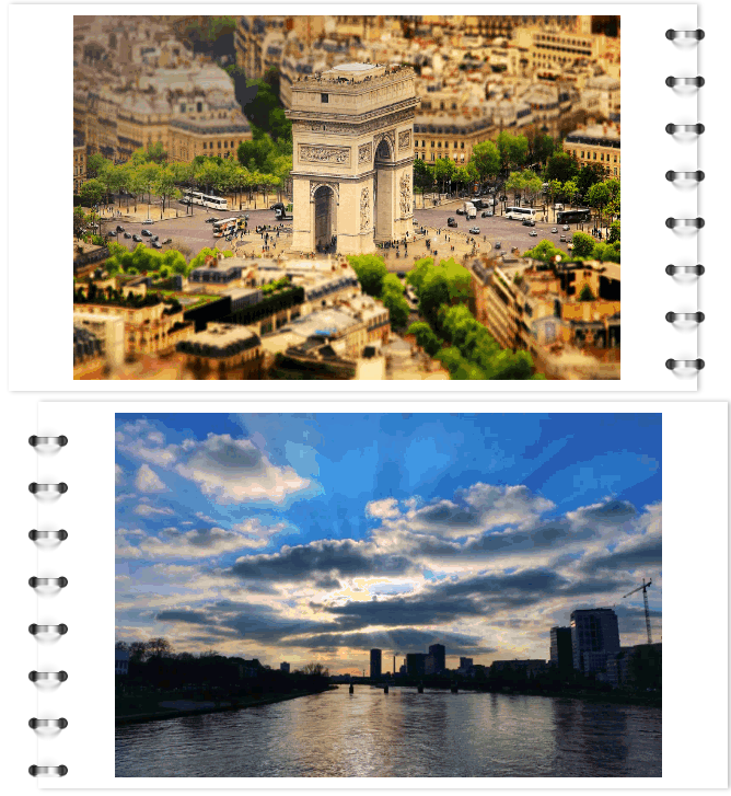 1573631432680057.png 1573631432680057.png