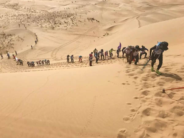 1576825668231879.jpg 7.jpg