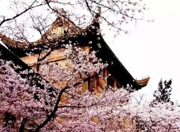 1581918540101441.jpg 亞沙說2679.jpg