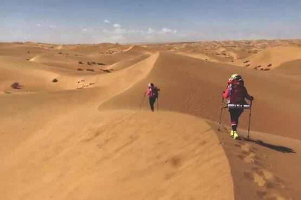 1583495237130740.jpg 16.jpg